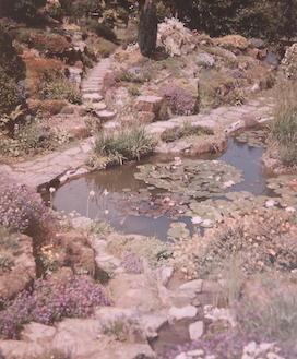 Photo of an Ornamental garden